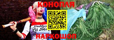 мяу мяу мука Кандалакша