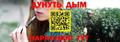 мяу мяу мука Кандалакша