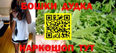 мяу мяу мука Кандалакша