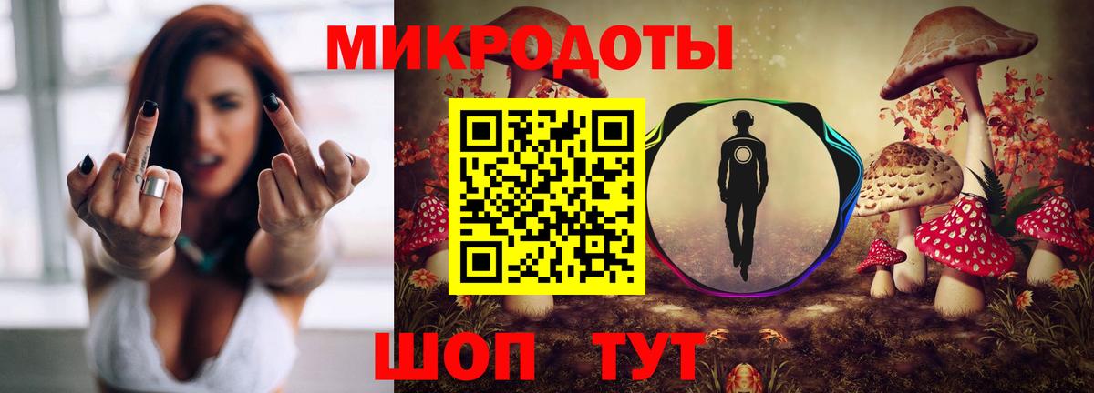 Псилоцибиновые грибы GOLDEN TEACHER Кузнецк
